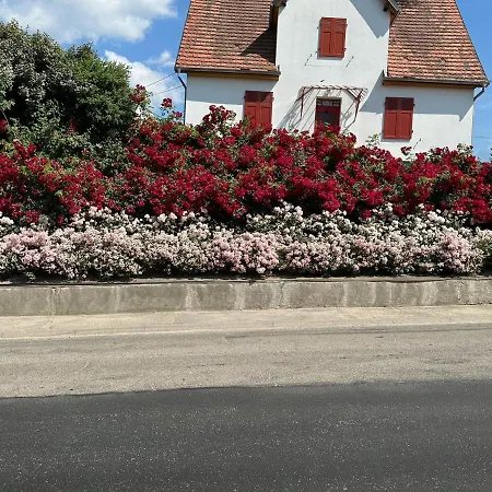 Au Parfum Des Roses *