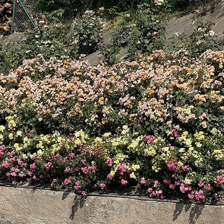 Apartmán Au Parfum Des Roses