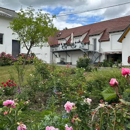 Apartmán Au Parfum Des Roses Gunstett