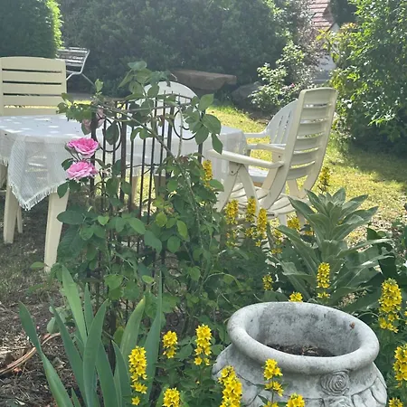 Au Parfum Des Roses Apartmán Gunstett