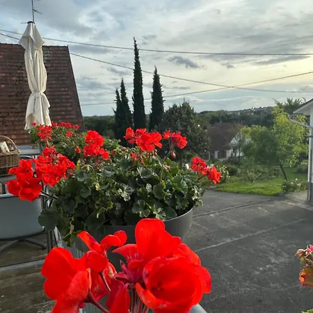 Au Parfum Des Roses *